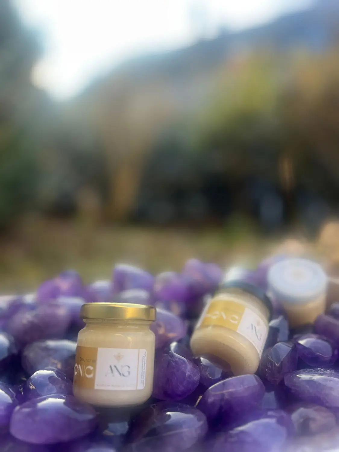 Aurum Noble Gifts - Honiggläser